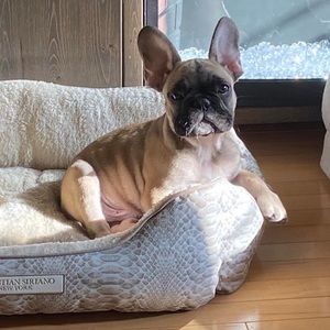 Meet your Posher, Cathy